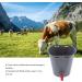 Nachukan 8L Milk Feed Bucket & Feeder Bucket - Plastic with Nipples & Check Valves - Premium Milk Feeding Tool & Livestock Accessory for Efficient Livestock Care(For cattle) - Buy Online on GoSupps.com