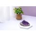 Amethyst Healing Crystal Cluster - Raw Quartz Druzy Geode Specimen for Meditation and Reiki Healing - Home Decor 200-300g - Buy Online on GoSupps.com