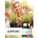 Carlyle Echinacea | 120 Capsules | Vegetarian Non-GMO & Gluten Free Supplement - Buy Online on GoSupps.com