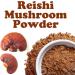 Food to Live Reishi Mushroom Powder 8 Ounces No Artificial Additives Great for Smoothies Tea Coffee. Kosher Vegan Bulk 8 Ounce (Pack of 1) - Buy Online on GoSupps.com