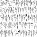 Cerlaza 75 Styles Tiny Black Flower Branch Temporary Tattoos For Women Girls 16 Sheets Realistic Wild Flower Floral Bouquet Small Fake Tattoo  Wild Plant Tattoo Stickers for Adults Women Face Hands Legs Body Sticker