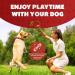 ZENO Dog Toys - Pack of 10 | Rope Chew Toys for Dogs | Strong Rope Ball & Tug for Teething & Training | Puppy Teething Toys | 100% Natural Cotton | Great for Small Medium & Large Puppies & Adults - Buy Online on GoSupps.com