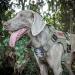 OneTigris Fire Watcher 2.0 Molle Dog Harness - XL Green Ranger | Durable Adjustable Handle & Metal Buckle for Enhanced Control | Perfect for Outdoor Adventures & International Shipping - Buy Online on GoSupps.com