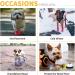 Hoolava Dog Winter Boots - Reflective Straps, Non-Slip Paw Protector for Small/Medium Dogs - Size 6 Yellow - Buy Online on GoSupps.com