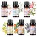 Essential Oil Set 6x10ML - 100% Pure Organic Plant Oil for Diffuser Massage Aroma Spa Yoga Perfume - Cherry Blossom Rose Jasmine Violet Neroli Ylang Ylang SET-D 0.06 Fl Oz (Pack of 6)
