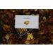 Cardelion Marron Glace - Candied Chestnuts Special Occasions Suitable for All Seasons (360 Gram 12.6 oz 20 Pieces) - Buy Online on GoSupps.com