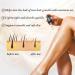 Salenda Hair Removal Oil - Natural Ant Egg Oil Perfect After Hair Removal for Women & Men Reduces Unwanted Hair Growth Body & Face Hair Growth Slowdown Oils 0.7 fl oz (20 ml) - Buy Online on GoSupps.com