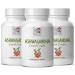 ASHWAGANDHA SUPPLEMENT - Holy Basil Ashwagandha Formula Ashwagandha Root Concentrate Root Extract Herbal Blend General Wellness Maca Capsules Herbal Supplement Panax Ginseng Astragalus 1B - Buy Online on GoSupps.com