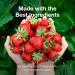 NutroGusto Jams Fruit Preserve Spread 290 g (Strawberry) - Buy Online on GoSupps.com