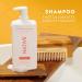 Native Shampoo & Conditioner Body Wash - Honey Crisp & Cider - Naturally Derived Ingredients Sulfate-Free Paraben-Free Strengthening Hair Care | Fall Seasonal Bundle (51 fl oz Total) - 3 Pk Honeysuckle 9 Fl Oz (Pack of 2) - Buy Online on GoSupps.com