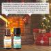 EUQEE Holiday Cheer Fragrance Oils Set - Forest Pine, Christmas Wreath, Brown Sugar, Harvest Spice, Gingerbread, Pumpkin Pie - 10ml Scented Oils for Diffuser and Candle Making - Buy Online on GoSupps.com