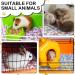 Buy NAMALU 4 Waterproof Guinea Pig Fleece Ceiling & Absorbent Dog Blanket - Reusable Pee Pads & Cuddly Sleep Blanket (Star & Moon 60 x 40 cm) | International Shipping - Buy Online on GoSupps.com