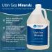Trace Minerals Utah Sea Minerals - 100% Natural Ocean Derived Supplement - Buy Online on GoSupps.com