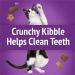 Friskies Party Mix Cat Treats Kahuna Crunch with Real Ocean Whitefish - 454 g Cannister (1 Pack) 454 g (Pack of 1) - Buy Online on GoSupps.com
