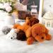 5 Piece Puppy Cuddly Toy Set - Soft Plush Dog Toys & Cozy Pillows for Puppies | Perfect Birthday Gift - Buy Online on GoSupps.com