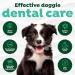 TropiClean Fresh Breath Dental Gel for Puppies - No Brushing 59ml - Made in USA | Best Oral Care for Pets - Buy Online on GoSupps.com