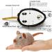 Vealind Rechargeable Cat Toy - Lifelike Mouse with Wagging Tail & Squeak Electronic Mice for Indoor Cats | USB Touch Activated Kitten Toy (Black/Brown) - Buy Online on GoSupps.com