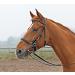 Solibel trekking bridle black fitting: stainless steel warmblood