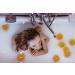 Best Himalayan Salt Mix for Energizing & Detoxifying Bath Soak - Sea Salt Mix for Body & Spirit Rejuvenation - Buy Online on GoSupps.com