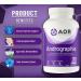 AOR Andrographis 120 Capsules - Premium Andrographis Paniculata Herbal Extract for Immune Support & Throat Comfort - High Potency Herbal Supplement for Adults Natural Remedy for Cold Relief - Buy Online on GoSupps.com