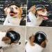 Buy Dog & Cat Motorcycle Helmets | Safety Hard Hats for Pets 44-88lbs - Outdoor Protection - Buy Online on GoSupps.com