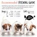 Bugalugs Scottish Salmon Oil For Dogs & Cats Supplement Supports Dog Skin And Coat Itchy Skin & A Moulting Dog Omega 3 Fish Oil Perfect For Grooming & Dog Food (500ml) Salmon 500ml - Buy Online on GoSupps.com