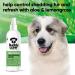 Buy Buddycare Dog Deodorizing Spray - Aloe Vera & Lemon Grass - Refreshing & Nourishing Formula (200ml) - International Shipping Available - Buy Online on GoSupps.com