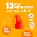 Sundown Naturals Kids Multivitamin Gummies - Disney Princess, Grape, Orange & Cherry Flavors, 180 Count - Buy Online on GoSupps.com