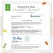 NAC - N-Acetyl L-Cysteine 800mg | 180 Vegan Capsules | Premium Quality Lab Tested | 6-Month Supply | High Dose Antioxidant Supplement - Buy Online on GoSupps.com
