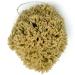 12CM Sea Sponge Unbleached Honeycomb Natural Seasponge for Bathing Art and Painting use (S Size 10-12 cm) - Buy Online on GoSupps.com