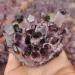 Crystal Rough 1pcs Natural Amethyst Cluster raw Stones geode ReikiQuartz Crystal Minerals Gemstone Remove Negative Suitable for Furniture Decoration (Size : 500-600g) - Buy Online on GoSupps.com
