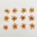 100pcs Ammi Majus Natural Pressed Dried Flowers for Resin, Soap & Candle Making (Orange) - Buy Online on GoSupps.com