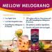 San Pellegrino Sparkling Fruit Beverages Variety Pack - 24 Pack, 11.15 Fl Oz Cans - San Pellegrino Flavors in Sanisco Box - Buy Online on GoSupps.com