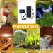 XIEHUZA Digital Dimming Thermostat Day & Night Timer | Reptile Temperature Controller - Buy Online on GoSupps.com