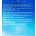 Shiseido Sun Protective Compact Foundation SPF 30 - Unisex Sun Makeup 12g - Ideal for All Skin Types - Buy Online on GoSupps.com