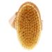 Fantasea Natural Bristle Body Brush - Exfoliating Shower Brush for Smooth Skin - Buy Online on GoSupps.com