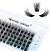 Individual Lashes Cluster Lashes D Curl 0.07mm DIY Eyelash Extensions Lash Clusters 12mm Reusable lash Extension Clusters Soft and Wispy Lash Extension Clusters(FD-D13-0.07-D12) RR-12mm D13-0.07-D