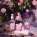 Fentimans Rose Lemonade - Natural Botanically Brewed Sparkling Lemonade 9.3 Oz (Case of 4) - Buy Online on GoSupps.com