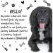 Bugalugs Spa Gift Set For Dogs With Shampoo Detangle Spray & Cologne Dog Birthday Dog Birthday Present Gifts For Women Gifts For Men Christmas Gifts For Her Gifts For Him (Baby Fresh) - Buy Online on GoSupps.com