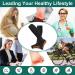 Copper Zipper Compression Socks 15-20mmHg - 2 Pairs, Open Toe Support, Black, Large-X-Large - Buy Online on GoSupps.com