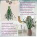 80 Pcs Mix Dried Eucalyptus & Lavender Flower Bundles for Shower - 100% Natural | Fresh Eucalyptus Leaves Stems | Hanging Shower Plant, Home Spa Decor - Buy Online on GoSupps.com
