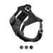 Kurgo Journey Air Dog Harness With Padded Chest and Back Handle For Dogs 23-34 kg Size L Black/Gray L Black