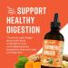 360 Nutrition Turmeric Ginger Supplement Drops - Vegan Curcumin with Black Pepper - Gut Health, Joint Support, Digestion - Keto-Friendly - Caffeine-Free - 4 fl oz (60 Servings) - Buy Online on GoSupps.com