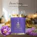 NATSHA Luxury Scented Candles | Aromatherapy & Eco-Friendly Handcrafted Soy Wax | Relaxation & Meditation Fragrance Candles - Buy Online on GoSupps.com