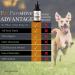 Pet Pawsitive Hemp Oil for Dogs and Cats - 2 Pack - Organic Hemp Drops with Omega 3 6 9 - Hip and Joint Support - Buy Online on GoSupps.com