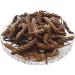 RAW HERBS/JADI BOOTI DRIED MAROD PHALI MAROR FALI INDIAN SCREW HELICTERES ISORA (500GM) - Buy Online on GoSupps.com