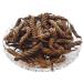 RAW HERBS/JADI BOOTI DRIED MAROD PHALI MAROR FALI INDIAN SCREW HELICTERES ISORA (500GM)