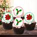 PRECUT Christmas Poinsettia Holly Cupcake Toppers Christmas Edible Holly Cake Decorations Christmas Cake Topper Xmas Cupcake Decoration Poinsettia Cake Decorations (12) - Buy Online on GoSupps.com