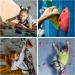 ALPIDEX Starter Set: 35 Colorful Climbing Holds & Stones with Screws - Perfect for Home Gym & Outdoor Climbing - Buy Online on GoSupps.com