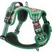 Heele Dog Crockery & Floral Green Adjustable Running Harness | Lockable Snap Anti-Train Reflective | Sizes L (43-86cm) - Buy Online on GoSupps.com